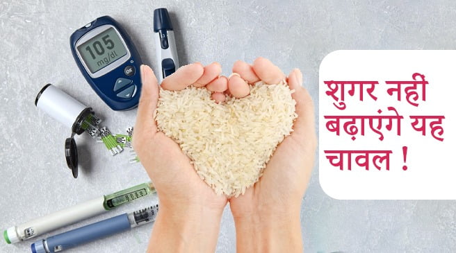 Best Rice for Diabetics, डायबिटीज के मरीजों के लिए बेस्ट चावल