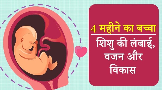4 महीने का बच्चा पेट में कैसा होता है, garbh me shishu ka vikas, baccha kaise hota hai,  4 महीने का बच्चा पेट में कैसा होता है, 